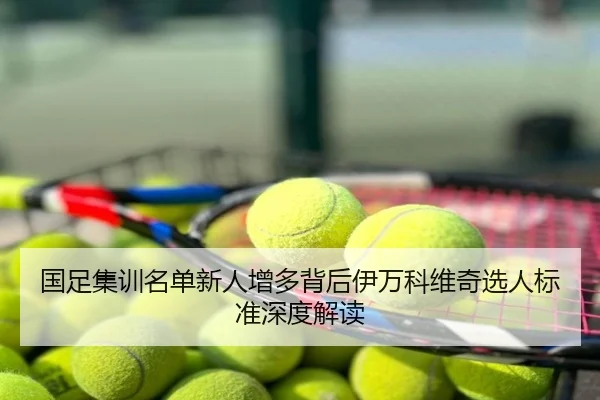 国足集训名单新人增多背后伊万科维奇选人标准深度解读